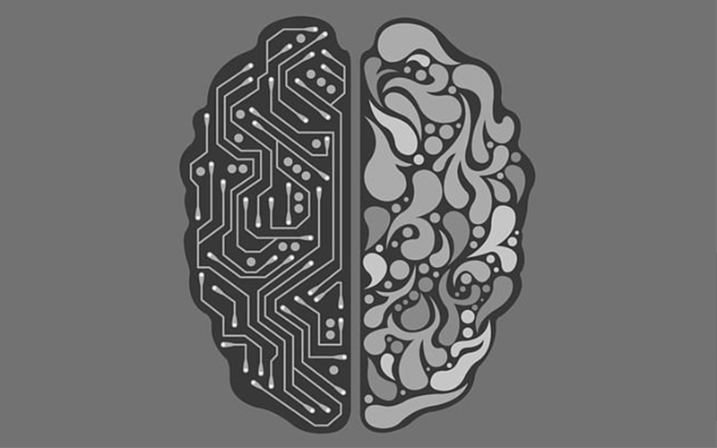 The Impact of Vitamin Deficiencies on Brain Function