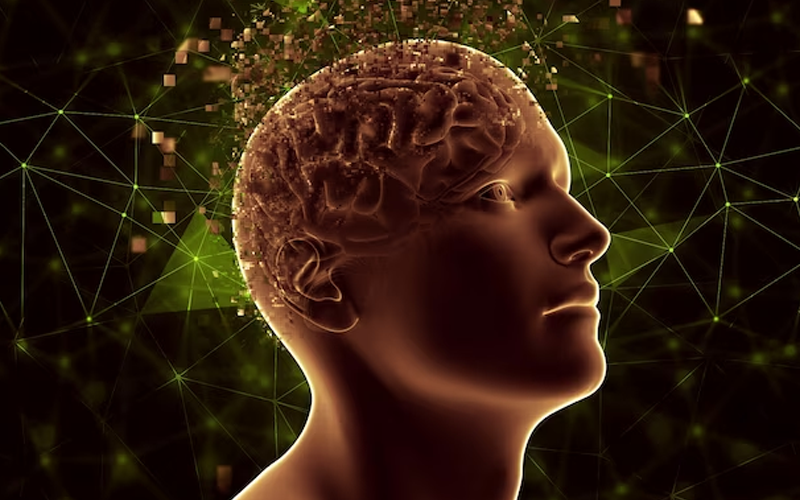 Natural Brain Boosters for Cognitive Enhancement